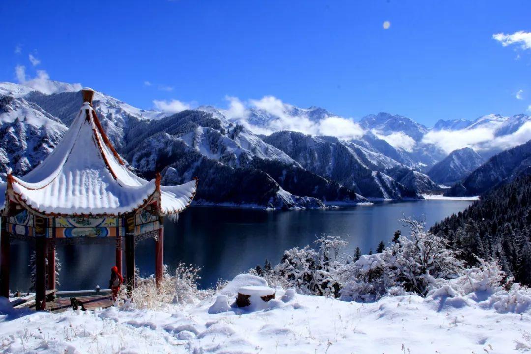 厉害了我的巧虎7